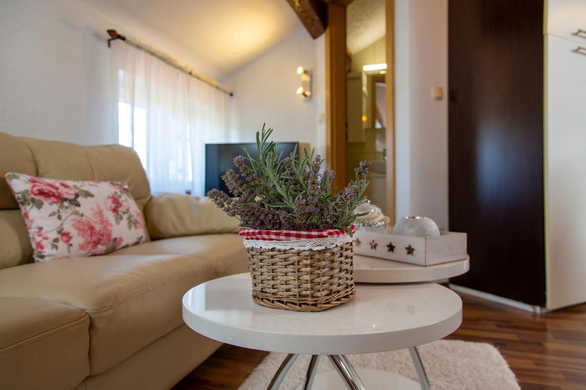 Apartman Viki Stinjan بولا المظهر الخارجي الصورة