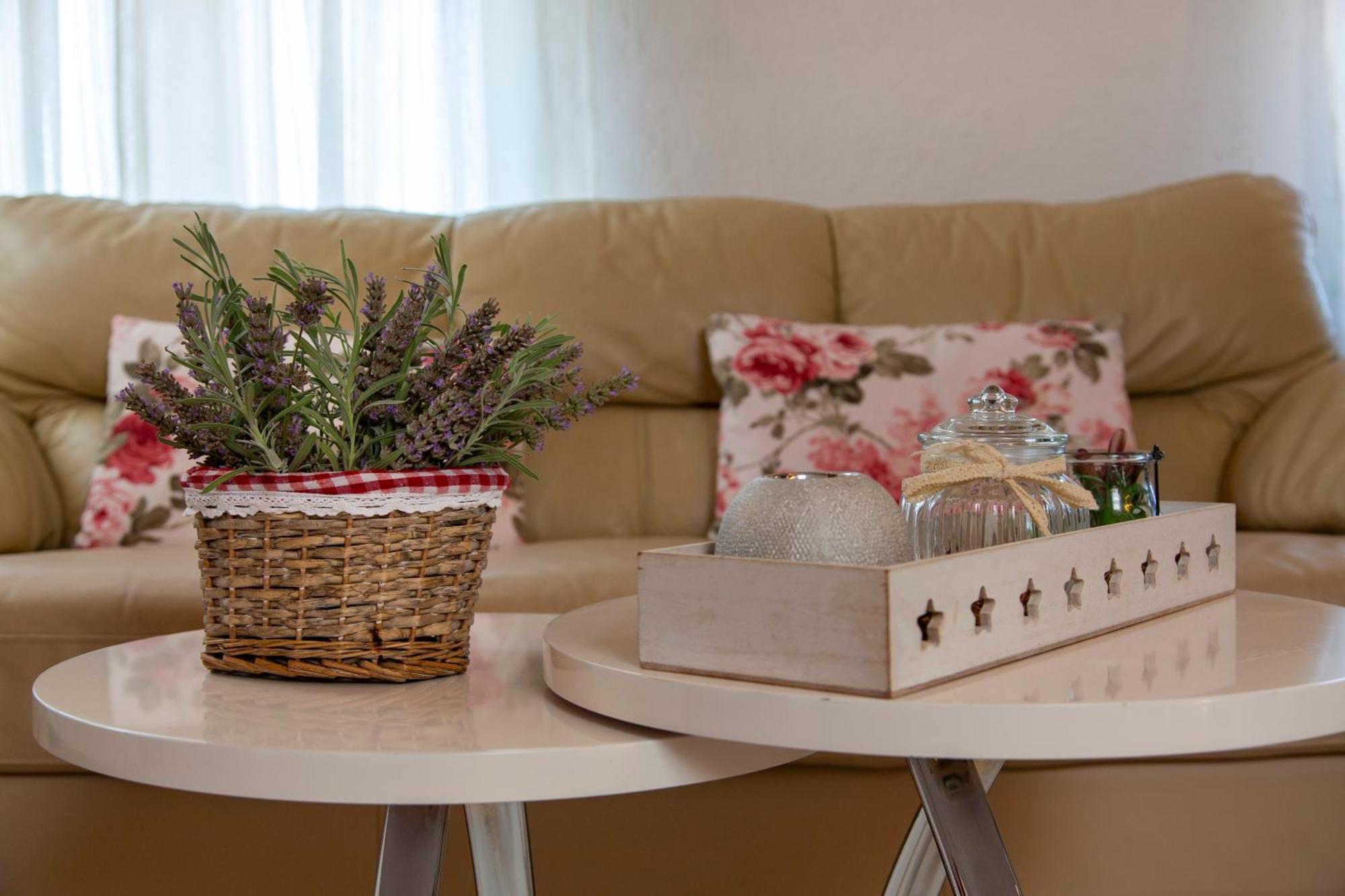 Apartman Viki Stinjan بولا المظهر الخارجي الصورة