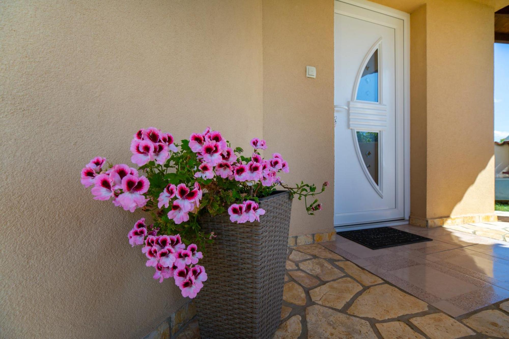 Apartman Viki Stinjan بولا المظهر الخارجي الصورة